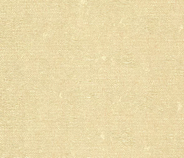 texture-588x504